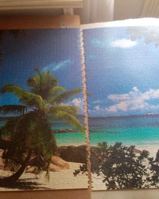 puzzle 3000 pezzi.