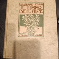  IL LIBRO DELL'ALPE 