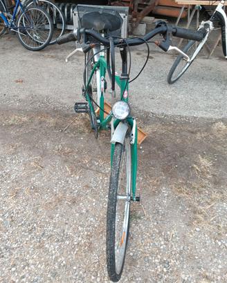 Bici da uomo