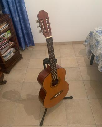 Chitarra Privada MP 12 + custodia + piedistallo