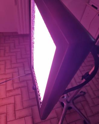 Lampada UV Abbronzante + Collagene + Stativo | PAD