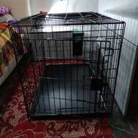 Kennel