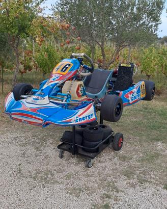 Kart rotax max 125