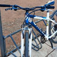 MTB Bixs