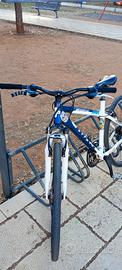 MTB Bixs