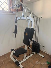 palestra multifunzionale