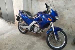 Aprilia pegaso 650 cube