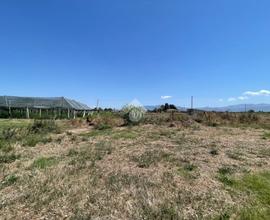 TERRENO A CISTERNA DI LATINA