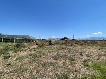 TERRENO A CISTERNA DI LATINA