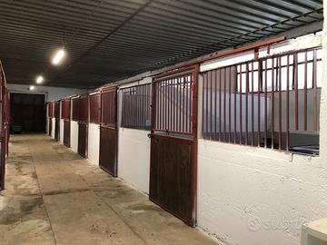Box cavalli per autogestione