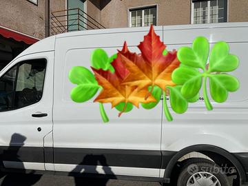 Ford transit anno 2024