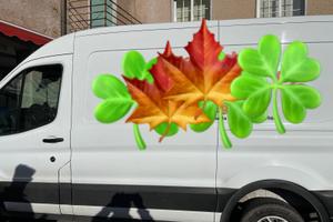 Ford transit anno 2024