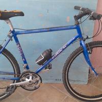 bici varie