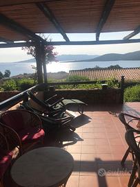 Porto Mannu 25 Capo d'orso