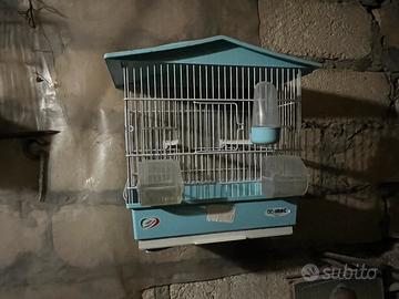 Gabbie per uccelli