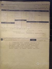 Carrello barca revisionato carichi leggeri