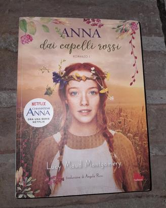 Anna dai capelli rossi Libro