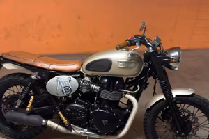 TRIUMPH  2004