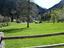 Immagine 20