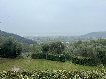 Comodato d uso gratuito