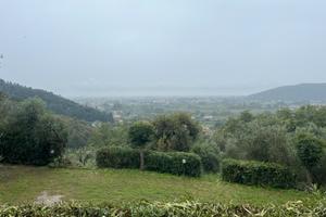 Comodato d uso gratuito