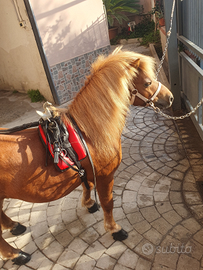 Finimenti pony