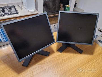 coppia di monitor Eizo FlexScan S1721