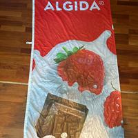 Vela algida