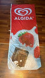 Vela algida
