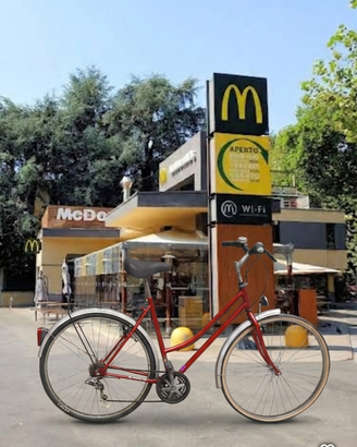 Bicicletta da donna 28