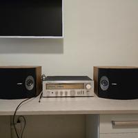 Casse Acustiche Bose 301 V