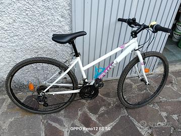 Mountain bike donna