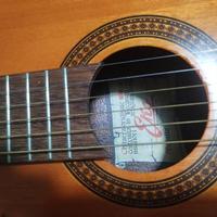 Eko chitarra