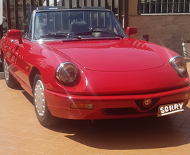 Alfa romeo spider