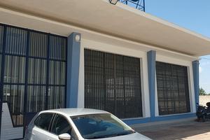 Volkswagen Polo 1.4 TDI 90 CV DSG 5p. Comfortline 