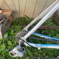 Bicicletta da corsa modello donna