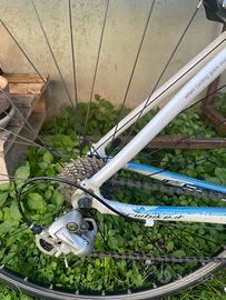 Bicicletta da corsa modello donna