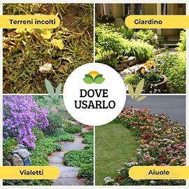 diserbante totale 5 litri glifosato erbacce