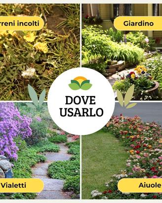 diserbante totale 5 litri glifosato erbacce