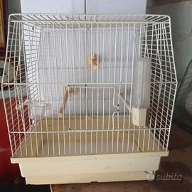 gabbia per uccelli 