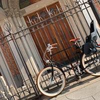 Rossignoli Country come nuova