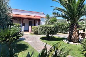 Puglia Gargano Peschici Estate Last Minute