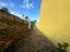 Immagine 11