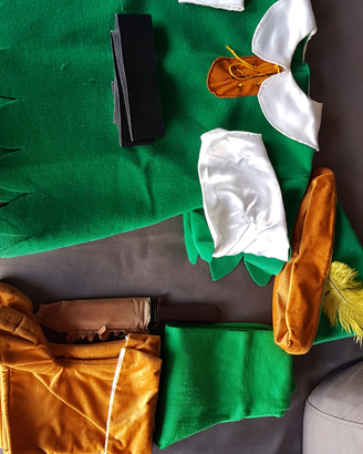 Vestito carnevale