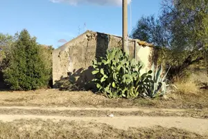 Terreno - Grammichele