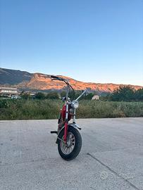 Mini Califfo rizzato