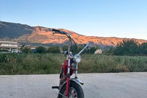 Mini Califfo rizzato