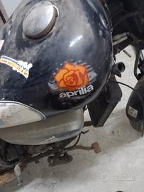 Aprilia Red rosee