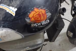 Aprilia Red rosee