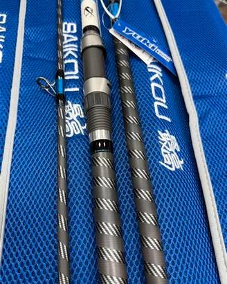 2 Canne surfcasting in carbonio 